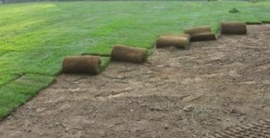 Sod Installation