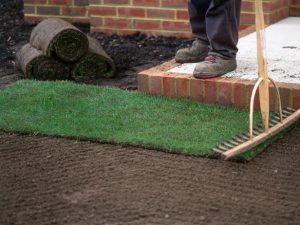 How to Install Sod