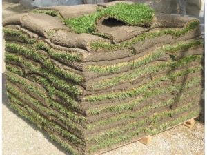 Sod For Sale in GA