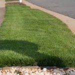 How to Buy Sod