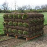 Buy Sod From Athens Super Sod